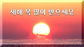 [영상] 2017년 시카고의 첫 해돋이