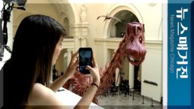 세계 최대 공룡 Maximo 시카고 필드박물관 오다