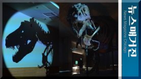 6천7백만년 전 공룡의 새 집 이사