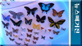 Upload.00_03_05_07.Still025