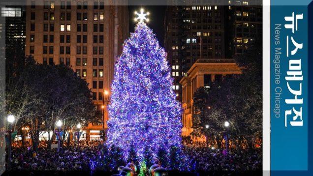 106년 역사, 시카고의 크리스마스 트리 점등식