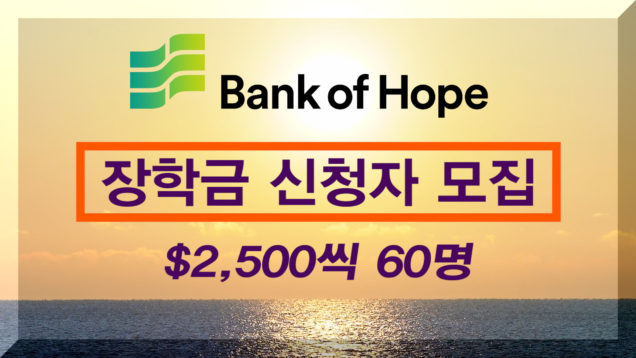 Sub Edit.00_08_47_22.Still004