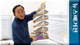 신선한 맛의 유혹, 강원도 농수특산물전 10주년