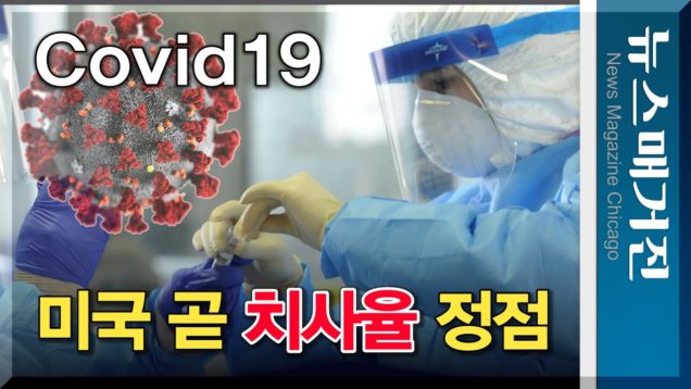 미국 곧 치사율 최고점…어떻게 해야 하나?