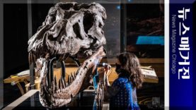 6천7백만년 전 공룡 SUE가 성병으로 죽었다고?