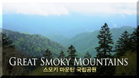 녹음 짙은 스모키 마운틴 국립공원