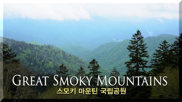 녹음 짙은 스모키 마운틴 국립공원