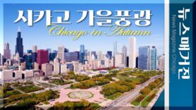[드론 4K] 잊지 못할 시카고의 가을 영상