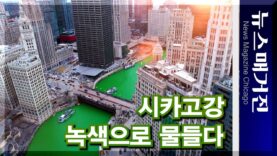 [사진+영상] 시카고강이 녹색으로 물든 놀라운 이유는?