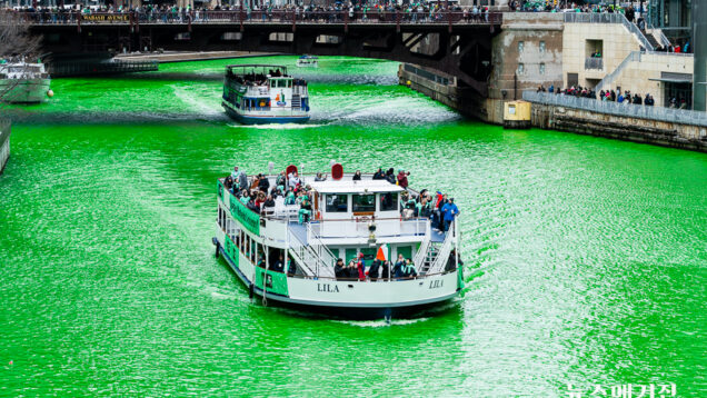 Chicago River Dyeing 2023-6