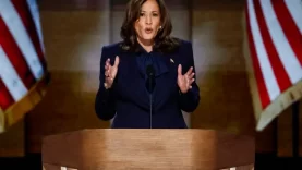 66c8041f1aa2ac29ee338e36